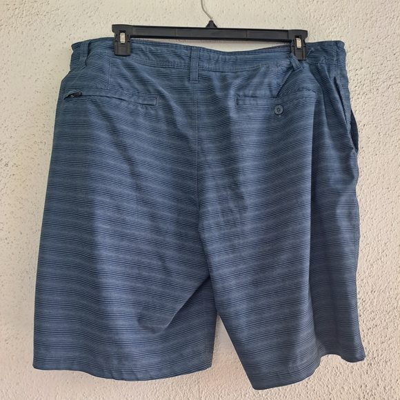 😃HANG TEN Shorts - Picture 2 of 6